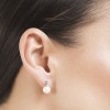 18 carat white gold earrings with pearl and 6 diamonds brilliant cut