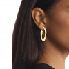 Arracades cércol Calvin Klein ovalades acer bany to or 35000688