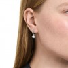 Arracades Chroma Swarovski estrella talles mixtes blanc rodi 5754172