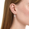 Swan drop earrings mixed cuts Swan White Rhodium plated 5759942