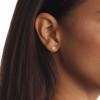 Pendientes Calvin Klein 35001010 Stud Earrings dorado mujer