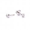 Earrings white gold and diamonds R3037