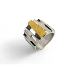 S1628 gold and silver ring